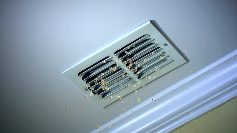 Best Affordable Air Duct Cleaning  in Chardon, OH